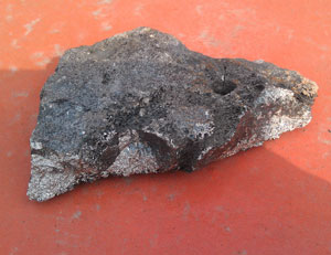 �t��̎�����a(ch��n)��(xi��n)